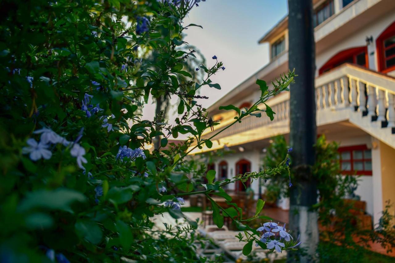 Hostel Poesia Фос-ду-Игуасу Экстерьер фото